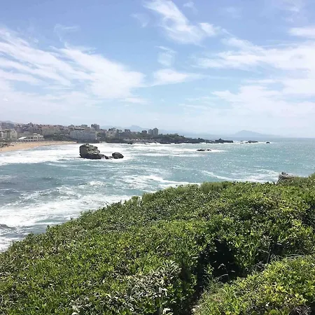 Apartment Location-cote-basque Fr - Au Golf Du Phare De Biarritz - Piscine, Plage, Golf, Parking *